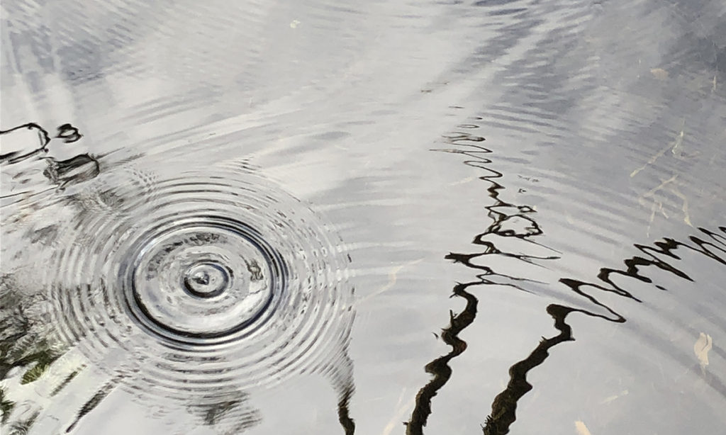 water drop ripple copyright cristina viviani