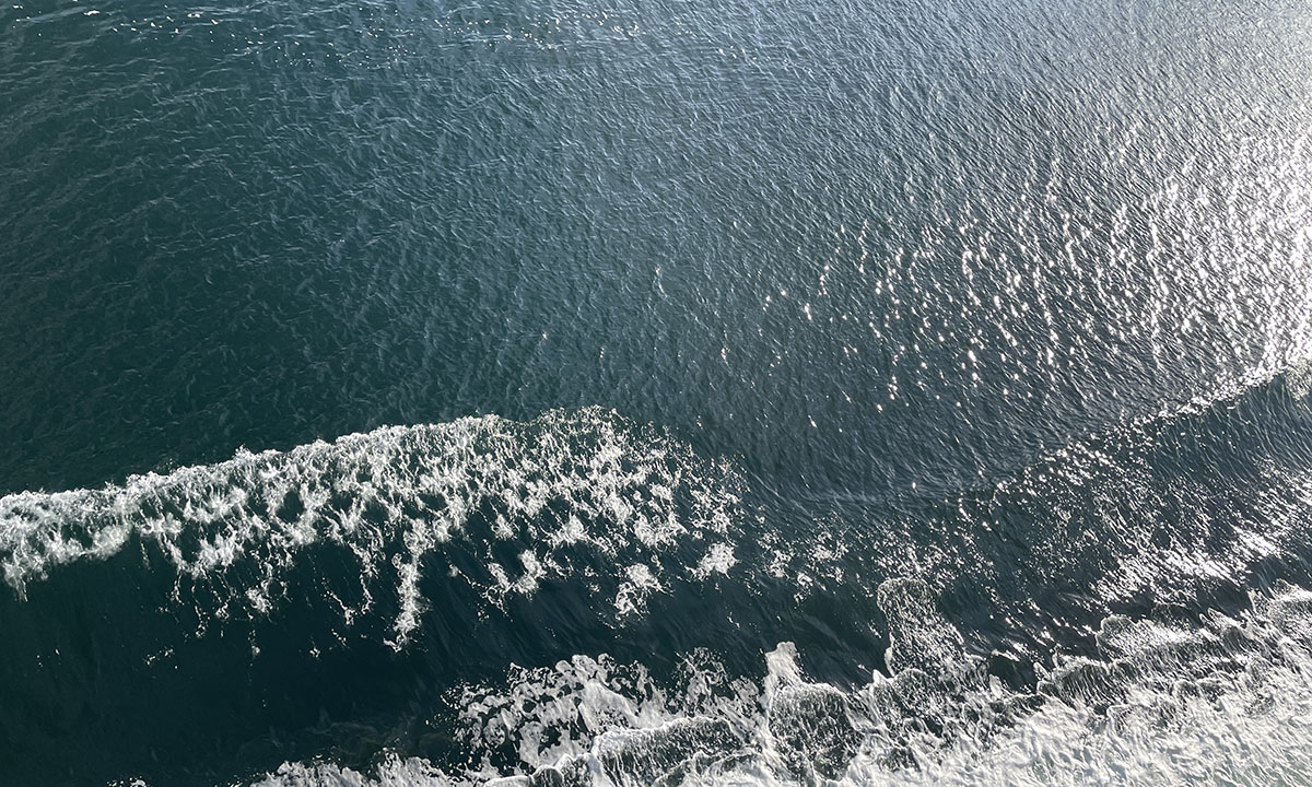 Through this lens Cristina Viviani